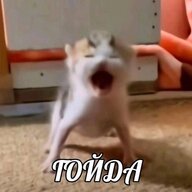 Ya chydo