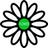 FIower