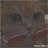 Tonny_Reyz